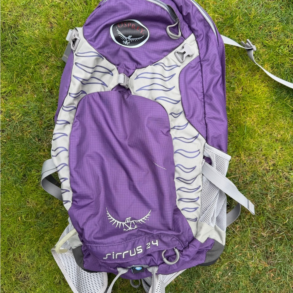 Osprey Violet and Light Gray Hiking Pack